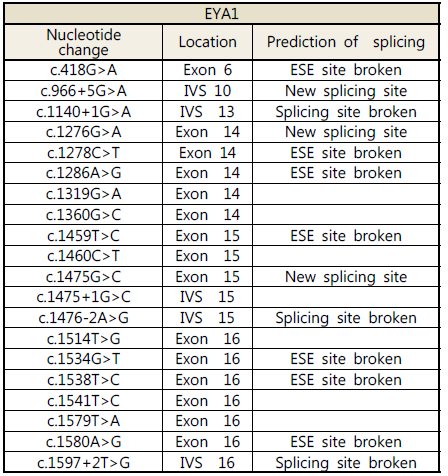 EYA1 유전자의 스플라이싱 돌연변이