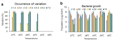 The occurrence of phenotypic variation according to the temperature (A) The phenotypic variation of B-type cells observed at various temperatures and incubation times. (B) The bacterial growth and population of B-type cells at different temperatures and durations of times for mass production