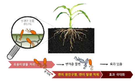 Final goal of the current research. Phenotypic variation lead to unexpected unequal and/or ineffective disease control activity of useful microorganisms, such as P. polymyxa E681. Mechanistic understandings on phenotypic variation at the 1) genetic, 2) proteomic and 2) epigenetic levels assets to developing a novel biological control agent
