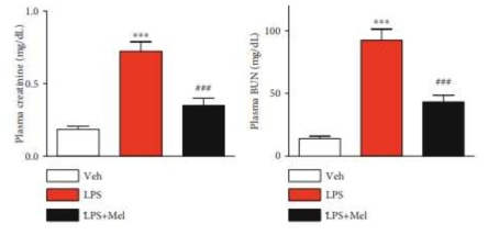 Plasma creatinine가 BUN감소 확인