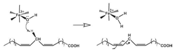 soybean lipoxygenase-1 효소의 수소원자 이동 반응의 속도결정단계