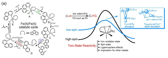 Iron complex에 의한 arylation 반응과 C-H activation의 two-state model