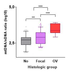 조직학적 아형에 따른 mtDNA의 증가 (호산성형 세포 70%미만, Focal; 70% 이상, OV)