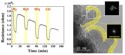 (a) SnO 나노 기공 구조 가스 센서의 가스 감지 특성, (b) SnO/SnO1.x core/shell 구조의 TEM 분석