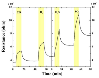 CuO 나노 기공 구조의 p-type 가스 감지 특성 분석 결과