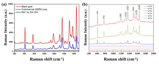 (a) Au 나노 기공 구조와 상용 기판의 SERS 특성 비교. (b) R6G 물질의 농도에 따른 Au 나노 기공 구조의 SERS 민감