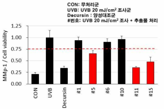 지상부 추출물의 인간섬유아 세포 생존율 대비 MMP-1 단백질 분비양