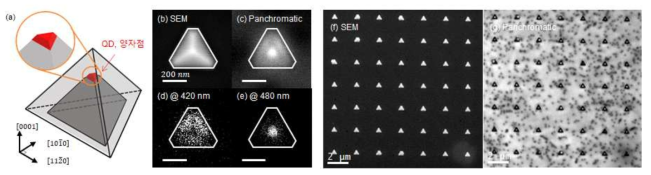 (a) 피라미드 꼭지점에 형성된 삼각대칭적 양자점 모식도, (b) 주사전자현미경(SEM)으로 측정한 삼각피라미드 이미지, (c-e) 공간분해능이 좋은 전자빔을 이용하여 측정한 음극선발광 이미지 (c) 분광하지 않은 발광 이미지, 분광 후 (d) 420 nm 와 480 nm에서 측정한 단색 발광 이미지, 양자점이 포함되어있는 삼각피라미드 행렬에 대한 (f) SEM 이미지 및 (g) 분광하지 않은 발광 이미지