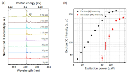 (a) 여기광의 세기 변화에 따른 나노와이어 양자점의 스펙트럼. (b) 여기광의 세기 변화에 따른 나노와이어 양자점에서 방출된 엑시톤과 쌍엑시톤의 발광세기 변화