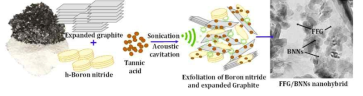 Fabrication of 2D nanohybrid.