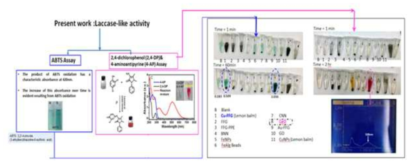 Laccase mimicking activity assay of various nanoparticles