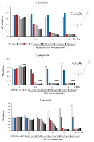 배양액에 ricinoleic acid와 oleic acid 첨가에 의한 P. gingivalis 항균효과 확인