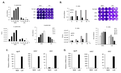 LRs에 의한 S. epidermis (A)와 S. mitis (B) 바이오필름 형성 억제와 연관유전자 발형 비교