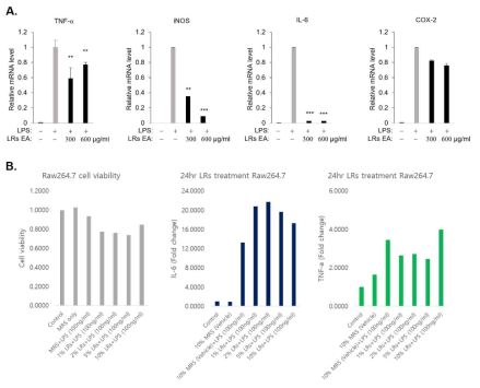 LRs EA 추출물(A)과 LRs (B)에 의한 각종 염증지표의 억제력 확인