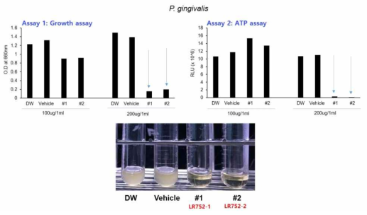 AN417 배양액의 ethyl acete 추출 분획물에 의한 P. gingivalis 균주 성장 억제 효과