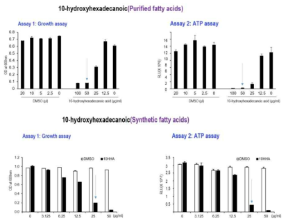 10-hydroxyhexadecanoic acid (정제, 합성)의 P. gingivalis에 대한 항균 효과 비교