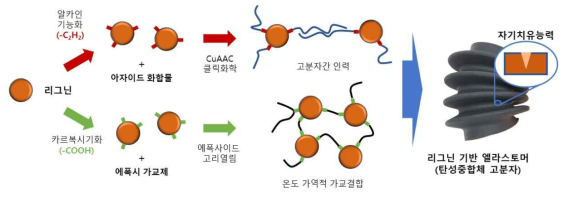 리그닌 기반 자기치유 고분자 제조공정 도식