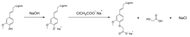 리그닌 카르복시메틸화 반응 경로
