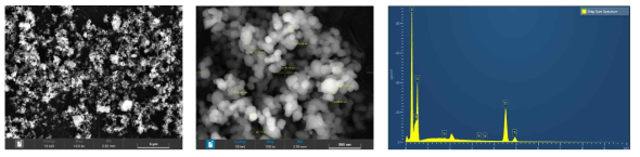 염색폐수 분리 TiO2 분말의 SEM 및 EDS 분석 결과