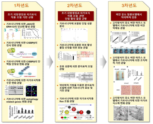 본 연구의 연차별 추진전략