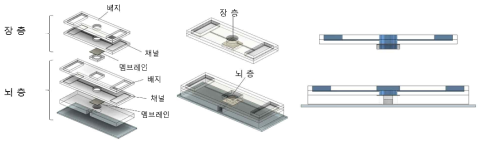 장-뇌 축 구현을 위한 미세유체 칩의 설계 모식도