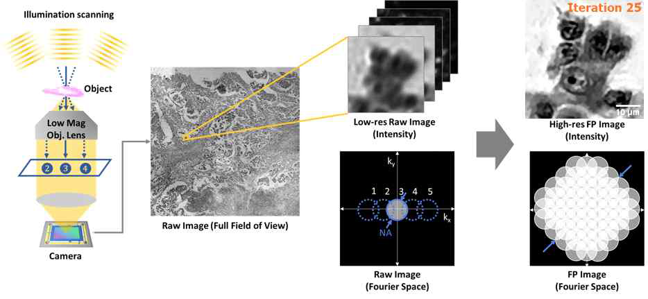 Fourier Ptychographic Microscopy의 하드웨어 구성과 이미지 재구성 과정