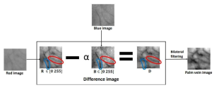 The flow of preprocessing to remove the palmprint