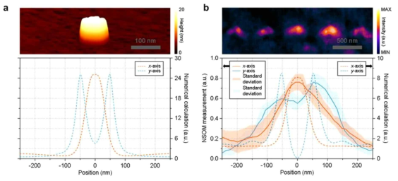 플라스몬 나노 포스트 어레이 기판의 AFM 및 NSOM 영상. AFM으로부터 얻은 형태 정보로부터 FDTD 계산을 수행하였고 그 결과를 NSOM 측정값과 비교하였음