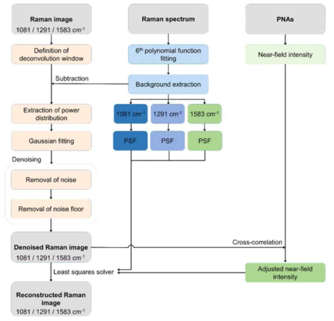 표면 플라스몬 국소화 기반 초고해상도 라만 이미징을 위한 후처리 순서도