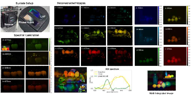초분광 카메라 구성, -초분광 이미지 보정 전 후 이미지. -실제 정물 초분광 이미지 및 RGB 통합 이미지
