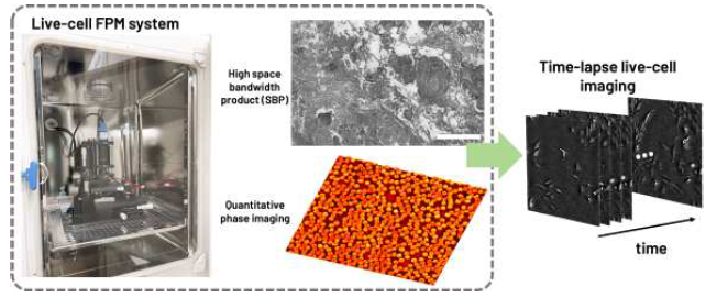 세포배양기에 탑재된 Live-cell FPM 장비와 time-lapse 데이터의 획득