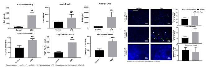 (좌) 공배양 칩과 웰 배양 조건에서 염증 유발 또는 약물투여 후 장벽기능과 염증인자의 확인 (우) 형광으로 표지된 엑소즘의 이동과 세포 흡수 관찰