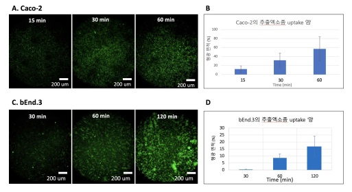 시간에 따른 엑소좀의 세포 흡수 사진과 측정 결과