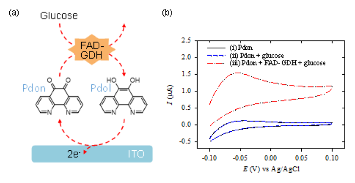 (a) ITO전극, Pdon, FAD-GDH, Glucose로 이루어지는 전기화학적-효소적 산화환원 순환의 개략도. (b) 0.1 mM Pdon과 5.0 mM glucose, 1 μg/mL FAD-GDH를 포함하는 PBS용액을 25 ℃에서 10분간 반응 후 얻은 순환전압전