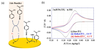 (a) Overpotential method의 개략도 (b) 3 mM Fe(CN)6 3-를 포함한 PBS용액을 ITO에서 반응 후 얻은 순환전압전류도