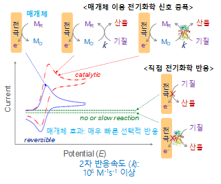 매개체 이용 전기화학 신호 증폭