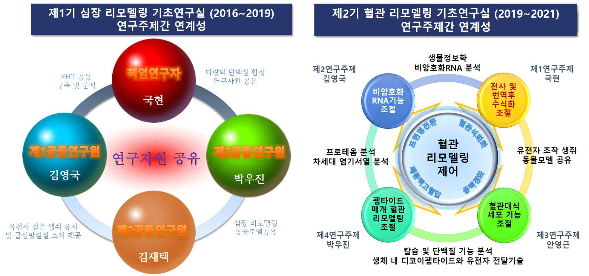 2016년부터 현재까지 지난 6년간 지속되어온 기초연구실의 세부과제간 연계도. A. 제1기 기초연구실인 심장 리모델링 기초연구실 (2016.6~2019.2)의 세부과제 간 연계도. B. 현 제2기 기초연구실인 혈관 리모델링 기초연구실 (2019.9~2021.10)의 세부과제 간 연계도