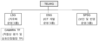 APEC TELWG 조직도