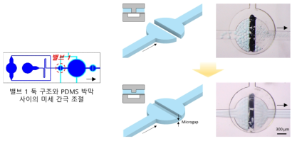 미세액적 수득을 위한 밸브 1의 디자인 변경