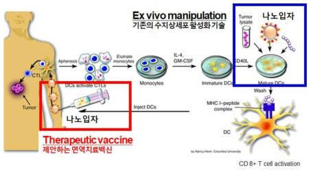 제안하는 나노입자 면역백신