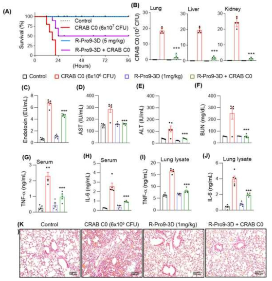 CRAB패혈증 동물모델에서의 R-Pro9-3D의 항패혈증 활성