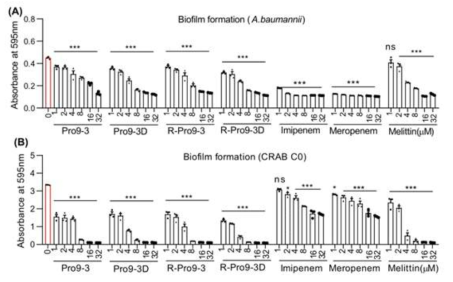 Pro9-3 and its analogs have biofilm inhibition properties. The antibiofilm activities of peptides on (A) A. baumannii (B) CRAB C0