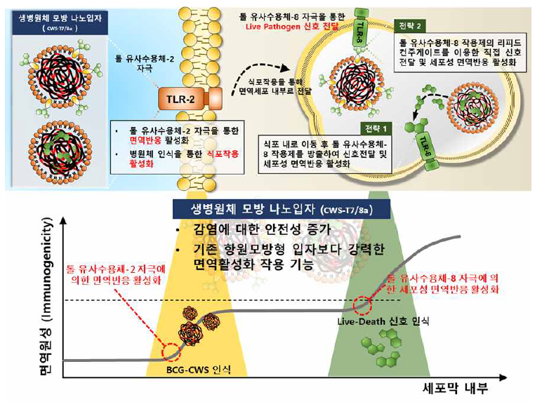 병원균 외벽 성분 기반 생병원체 모방 나노입자