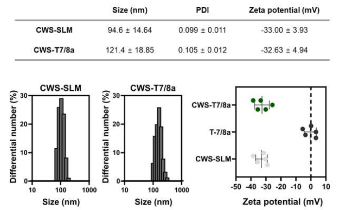 CWS-SLM과 CWS-T7/8a 에 대한 DLS 및 Zeta potential 분석