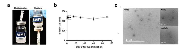 동결 건조 전 후 의 AIMS 플랫폼 나노입자의 비교 및 안정성 확인