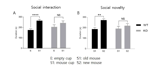 VRK2 유전자 결손 마우스의 사회성 결여 분석 (adapted from Lee et al. Glia 2019)