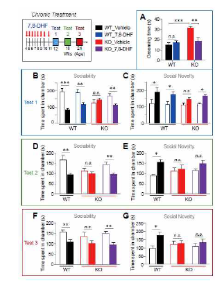 7,8-DHF 투여에 따른 VRK3 낙아웃 마우스 증상 회복 (adapted from Kang et al. J Exp Med 2017)