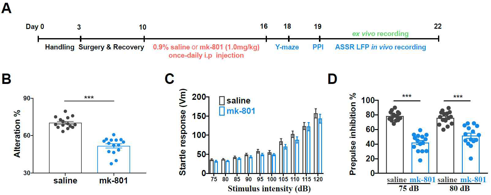 NMDAR 수용체 기능저하 모델 확립 scheme 및 y-maze와 pre-pulse assay test