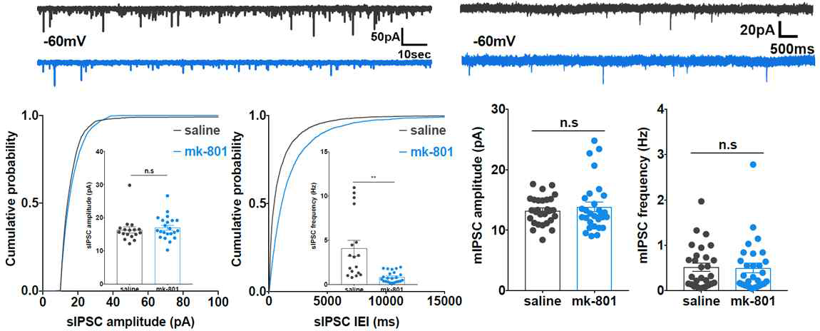 전전두엽 prelimbic의 흥분성 신경세포인 pyramidal neuron에서 기록한 억제성 시냅스 전도성인 spontaneous IPSC 및 miniature IPSC