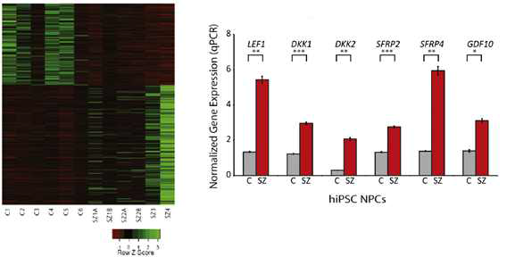 조현병에서 특이적으로 변화한 WNT 신호 조절 유전자 (Topol et al., 2010)